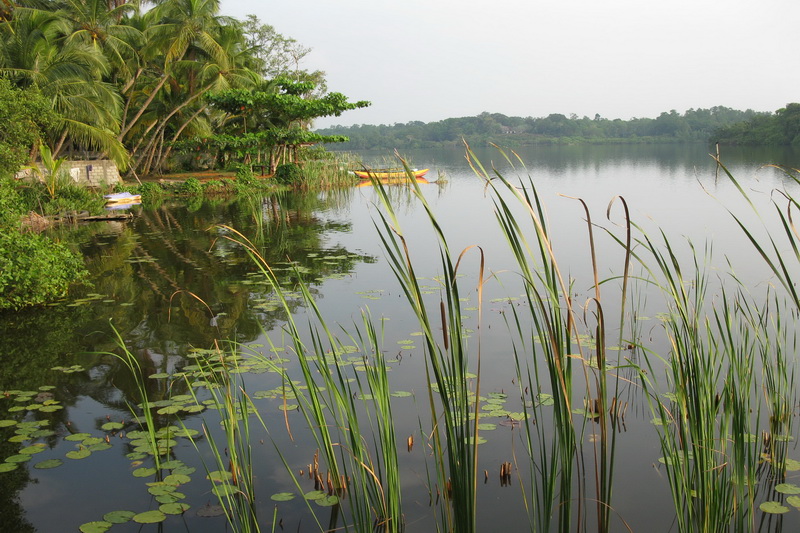 Sri Lanka, Colombo, River safari